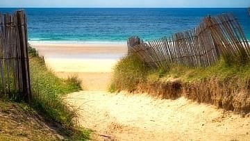 Ψάχνετε για ηλιόλουστες διακοπές με γαλαζοπράσινα νερά και μαγευτική θέα; Οι παραλίες των Γουβών Κρήτης σας περιμένουν! Βραβευμένες με Γαλάζια Σημαία, οι αμμώδεις παραλίες προσφέρουν άφθονο χώρο για χαλάρωση, ενώ τα ήρεμα νερά είναι ιδανικά για κολύμπι, paddle boarding, jet ski και snorkeling. Εξερευνήστε κρυμμένους κόλπους, δοκιμάστε θαλάσσια σπορ με την οικογένεια σας ή απλά χαλαρώστε κάτω από τον ήλιο – οι παραλίες των Γουβών έχουν κάτι για όλους. Με εύκολη πρόσβαση σε ηρεμίες, εστιατόρια και καταστήματα, οι διακοπές σας στις Κάτω Γούβες υπόσχονται αξέχαστες στιγμές.