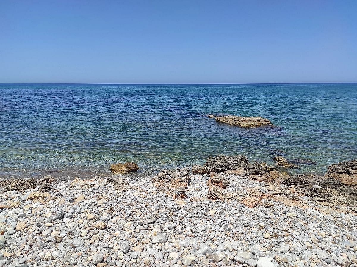 Είναι μια όμορφη μέρα στη γραφική παραλία των Γουβών τον Απρίλιο! Ο ζεστός ήλιος και η καταγάλανη θάλασσα προσφέρουν ένα εκπληκτικό σκηνικό για μια αξέχαστη εμπειρία. Βγείτε λοιπόν έξω και απολαύστε όλα όσα έχει να σας προσφέρει αυτός ο παράδεισος.